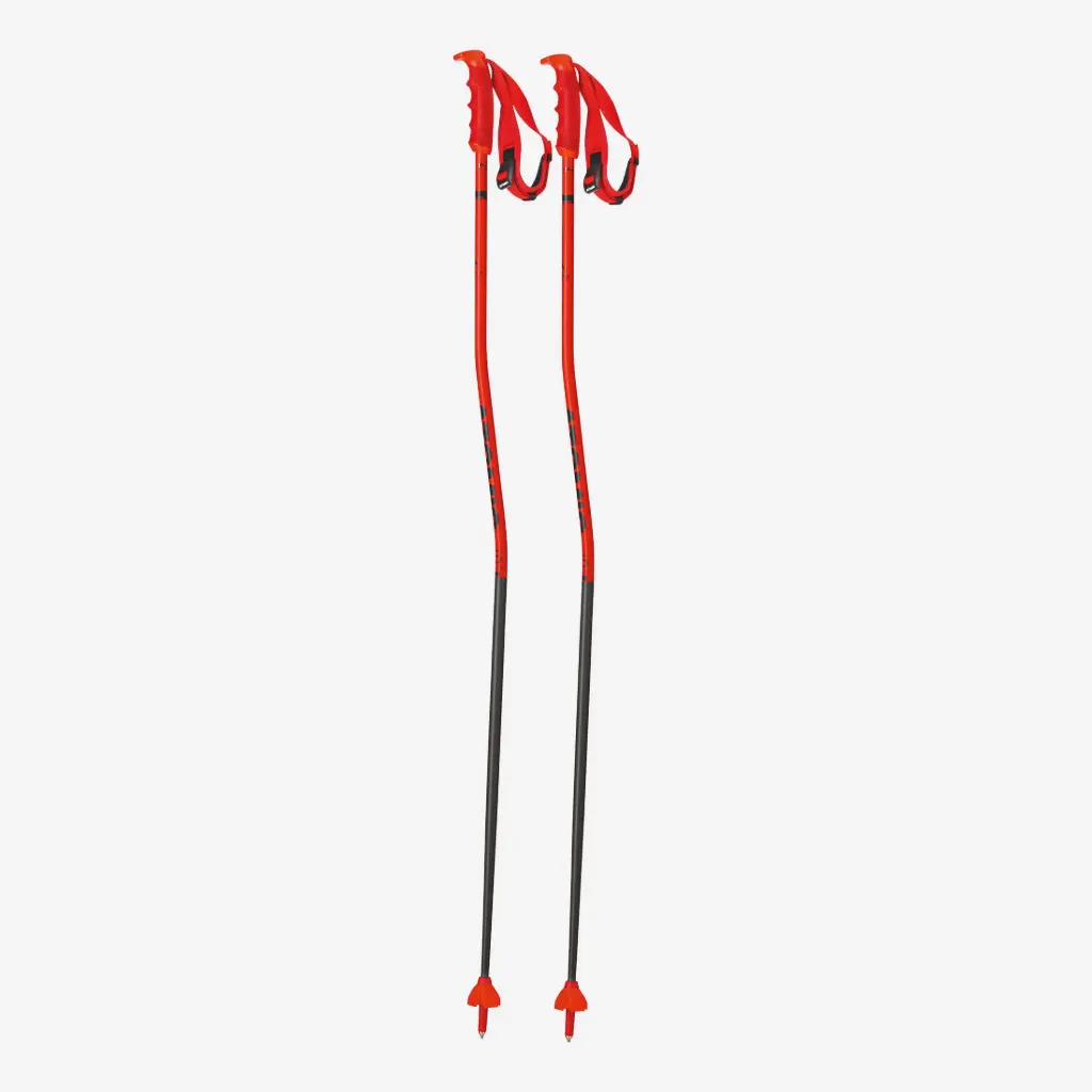 [AJ5005576-110] REDSTER RS GS (110)