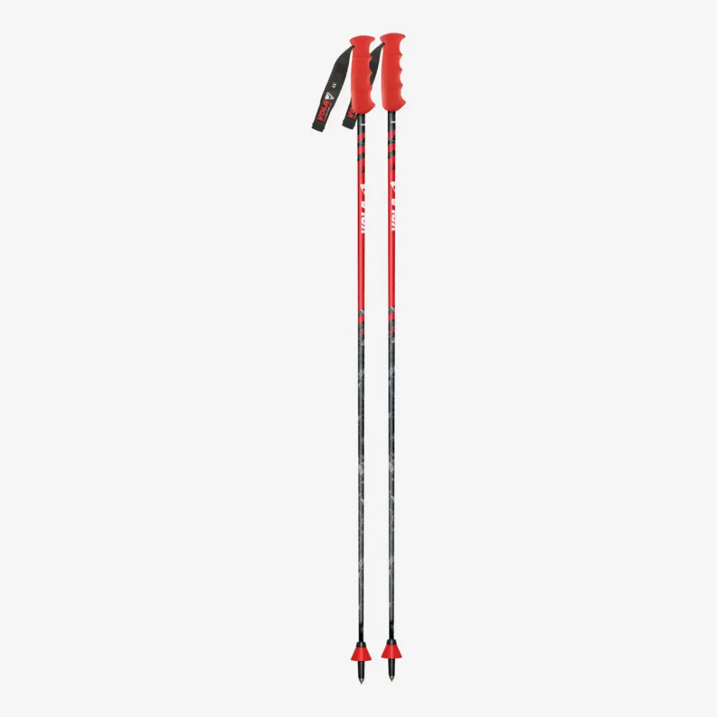 [FR2GS-110] GS CARBON (110)